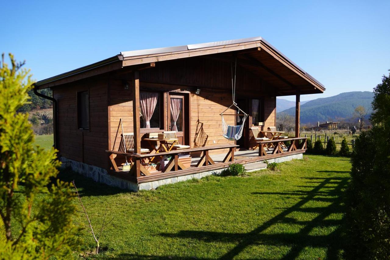 Hotel Orbel دوبرينيشت المظهر الخارجي الصورة